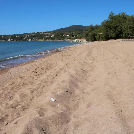 Sandras * Koróni