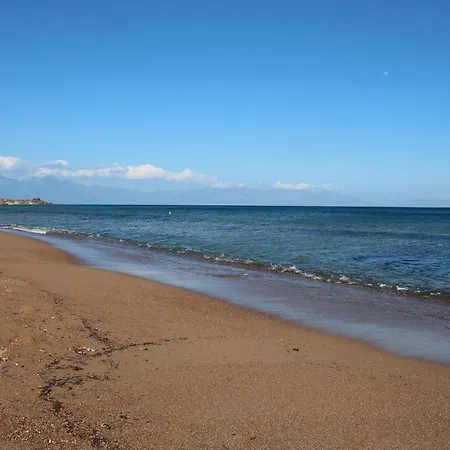Sandras *